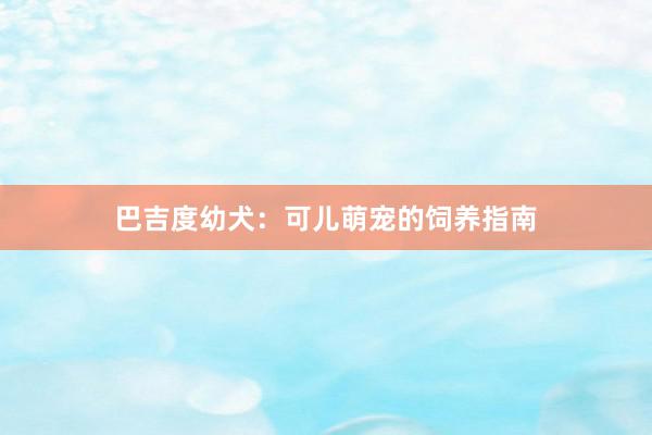 巴吉度幼犬：可儿萌宠的饲养指南