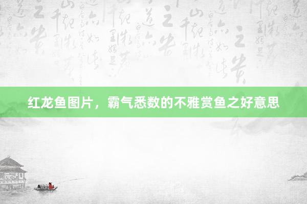 红龙鱼图片，霸气悉数的不雅赏鱼之好意思